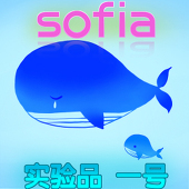 鲤鱼影子