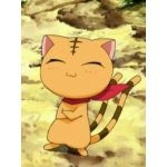 しまとら