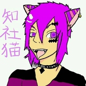 知社猫