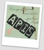 Apis