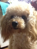 Naoki