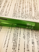 しだがわ