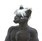 Ayn BlackFox