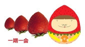 きよぷー