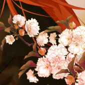 斑鳩花