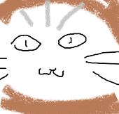 haku紙