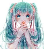 虹