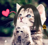 だふふ