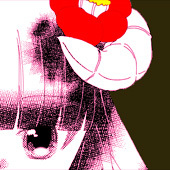 海松