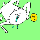 34
