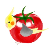 とりとま