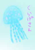 クラゲ