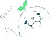 shiro