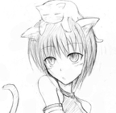朽木