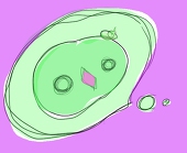 羽虫
