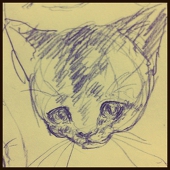 猫田