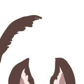 停川