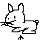 うさぎ