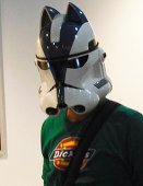 ace