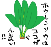 すぴなっち