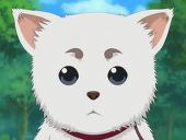 みーた