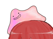 毬藻