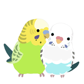 こっこ