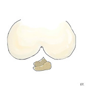 血色胖次