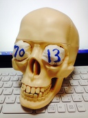 7013