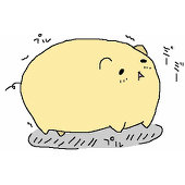 大翔