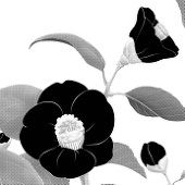 なりた椿