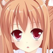 エロの探求者