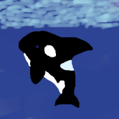 フェズ