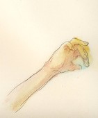 ホ