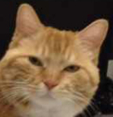 JUCI