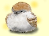 zz（じじ）
