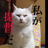 べにばな