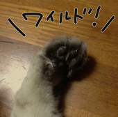 寿子