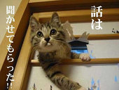 イヅミ