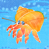 mioimo