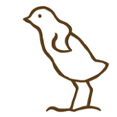 くるっくー