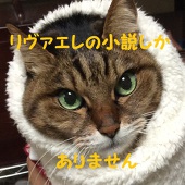 みみしけ