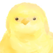 もたゐ