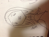 たも