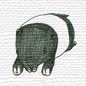 kashiko00