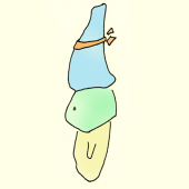 いしょた