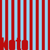 琴