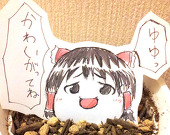 ふりあき