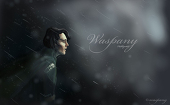 waspany