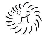 毛玉(福井県産)